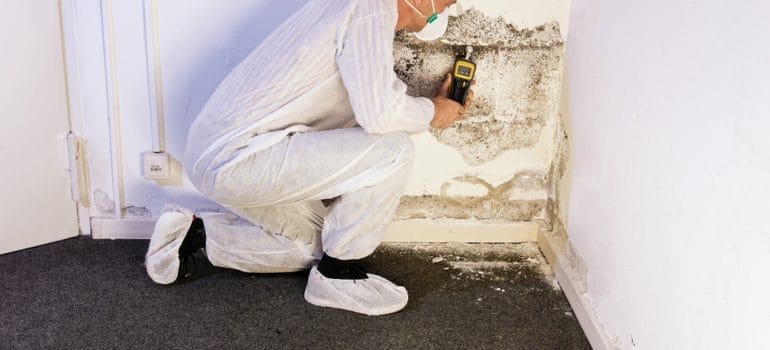 termite inspector near me