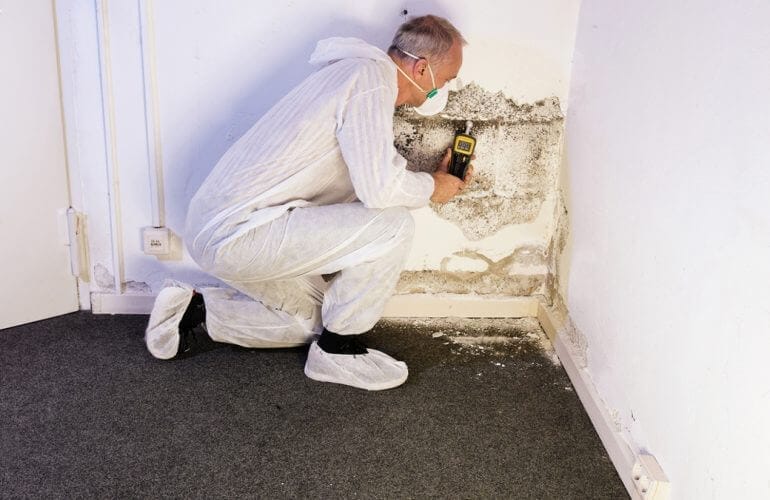 termite inspector near me