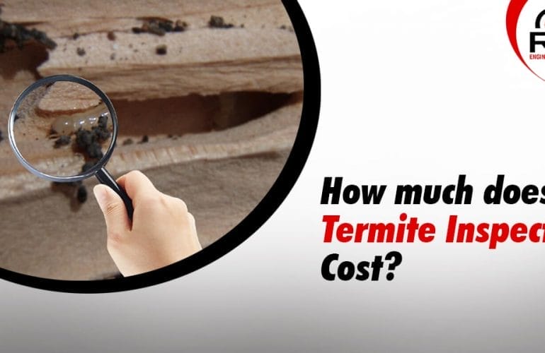 termite inspection near me