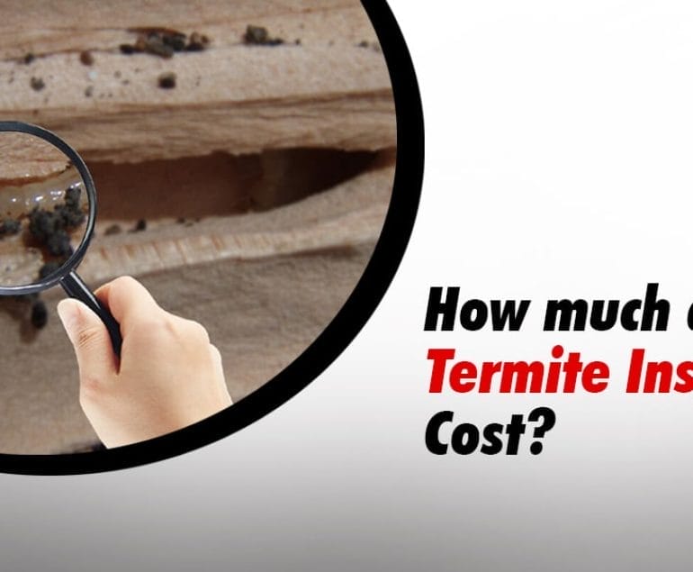 termite inspection near me