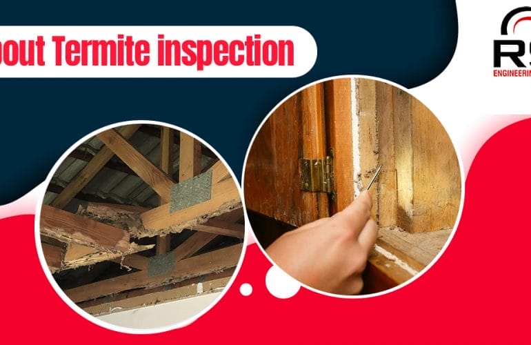 All About Termite Inspection