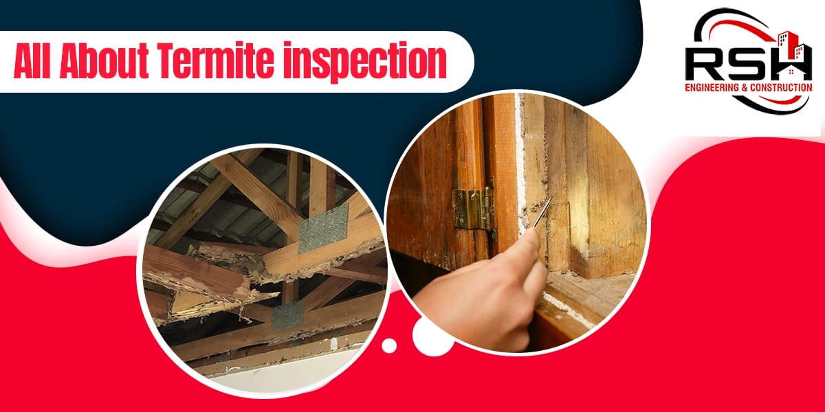 All About Termite Inspection