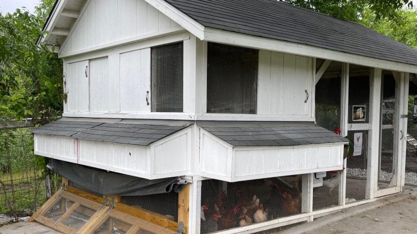 High-End-Chicken-Coup-4.1