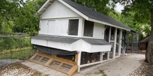 High-End-Chicken-Coup-5