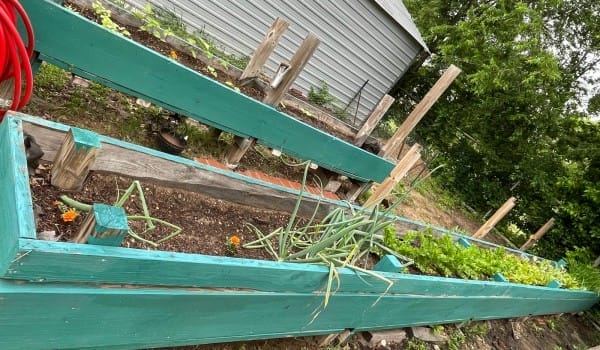Raised-Garden-Bed-2