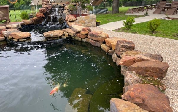 Swimming-Pool-to-Koi-Fish-Pond-conversion-1