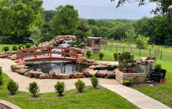 Swimming-Pool-to-Koi-Fish-Pond-conversion-11