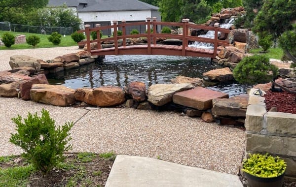 Swimming-Pool-to-Koi-Fish-Pond-conversion-4