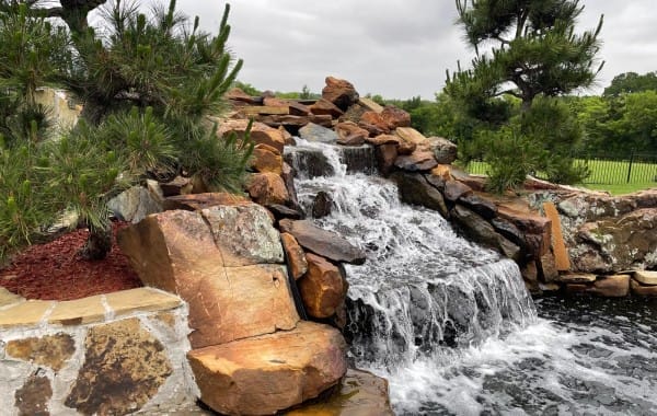 Swimming-Pool-to-Koi-Fish-Pond-conversion-7