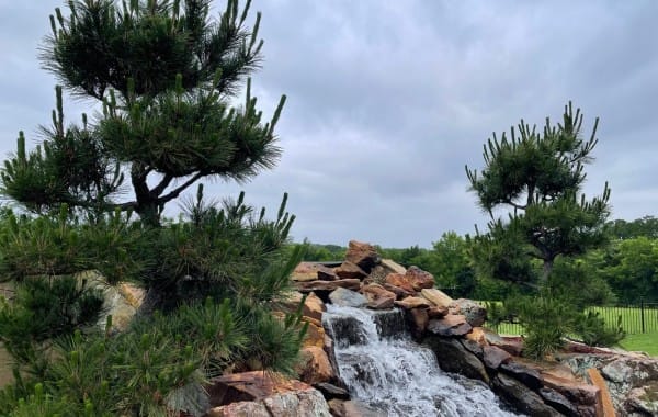 Swimming-Pool-to-Koi-Fish-Pond-conversion-8