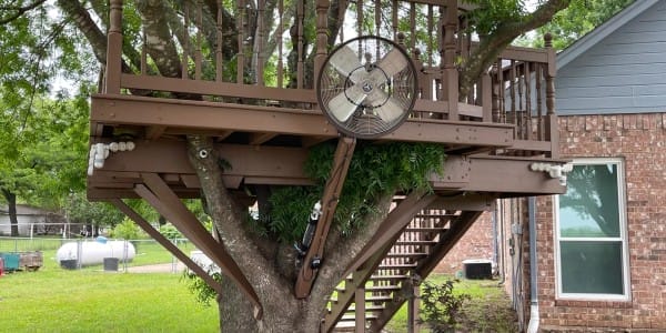 Tree-House-1